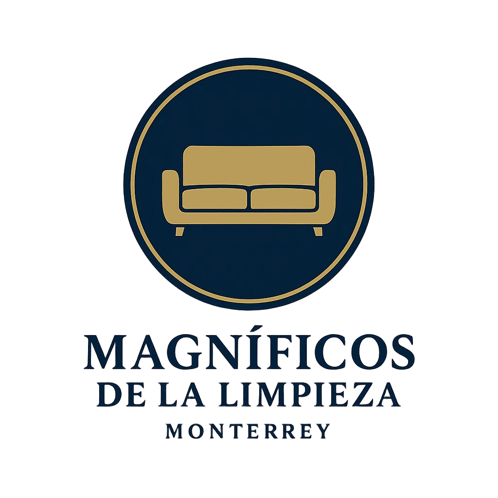 losmagnificosdelalimpiezamonterrey.com